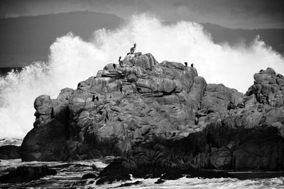Crashing_wave