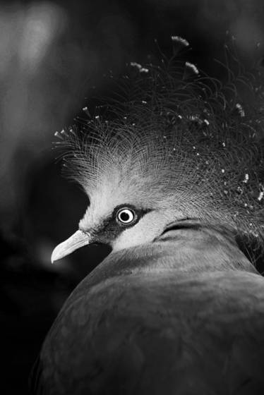 Untitled_11