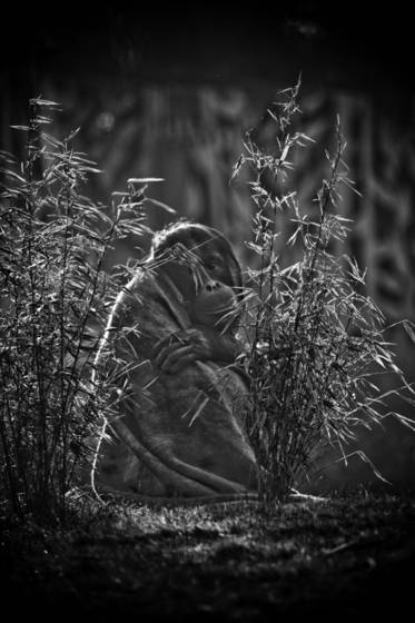 Zoo_portrait_2