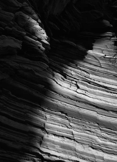 Whitepocket