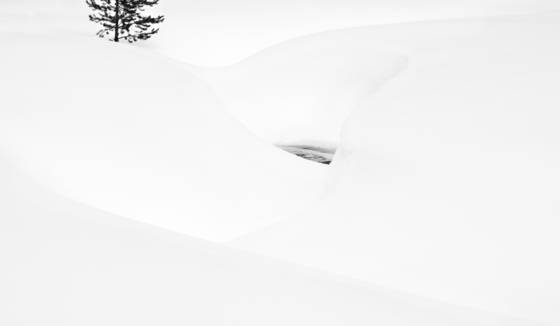 Snowscape