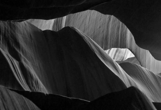 Antelope_05