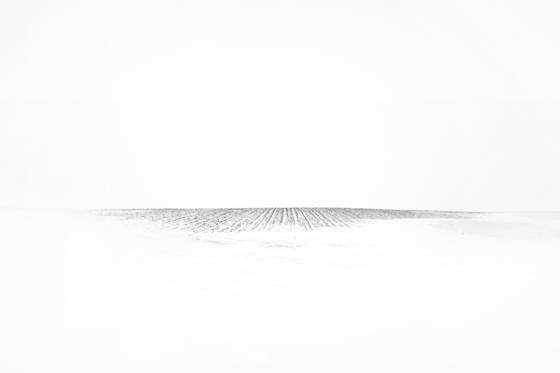 Island_row
