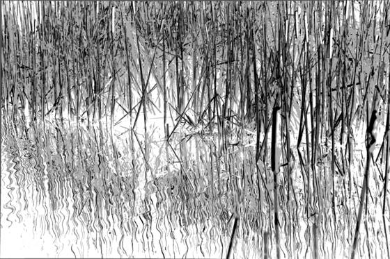Reflection