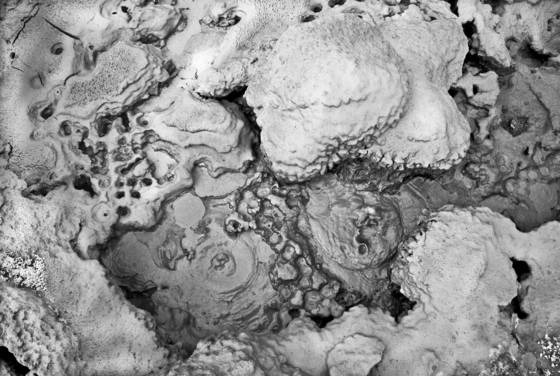 Land_marks
