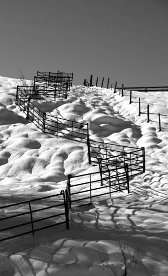 Steamboat_fence