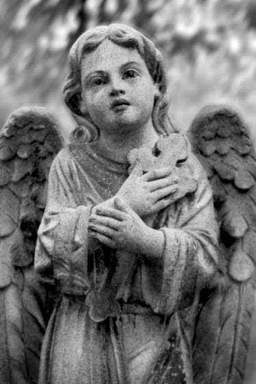 Stone_angel