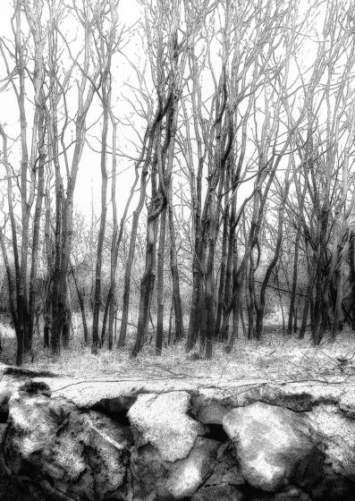 Beyond_the_wall