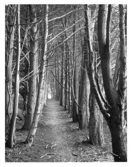 Gateless_gate__2