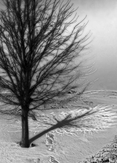 Winter_nightscape