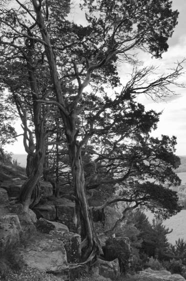 Gibraltar_rock