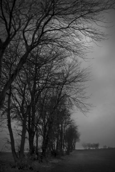 Cloudy_morning