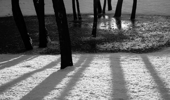 Black_ice