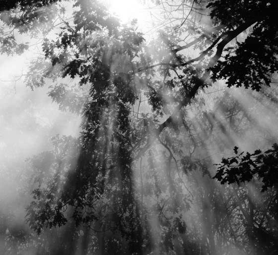 Magic_mists