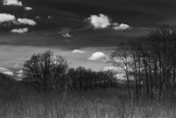 Cloud_s_nest
