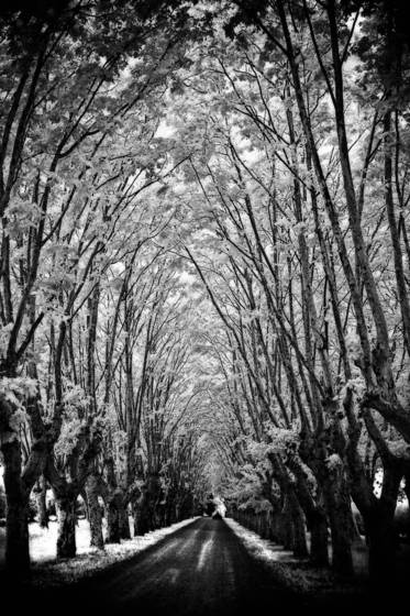Old_road