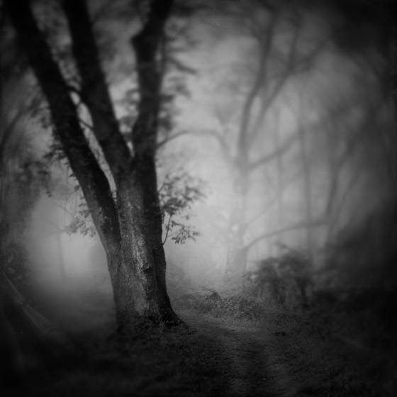 Road_to_morpheus