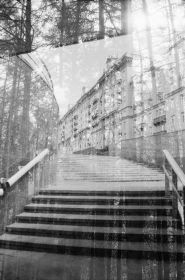 City-wood