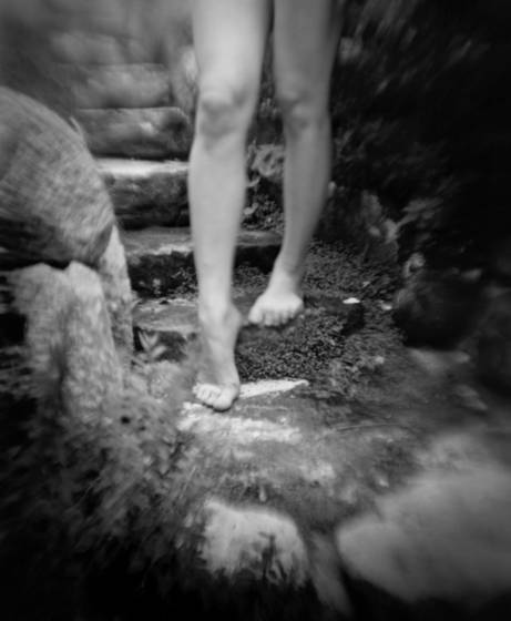 Descending_the_edwardian_path