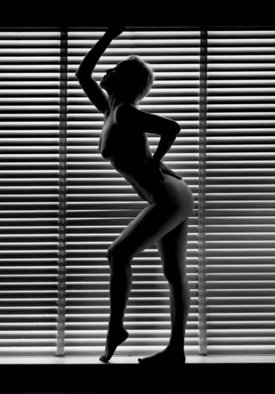Imitating_a_model