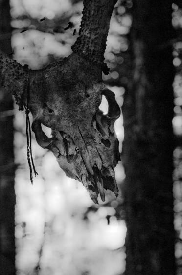 Untitled_13