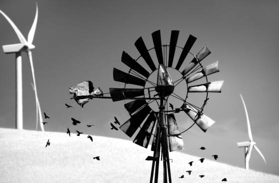 Windy