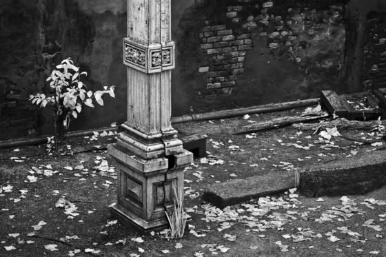 Old_columns
