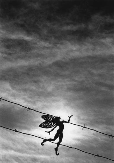 Untitled_3