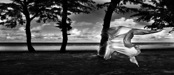 Three_trees_single