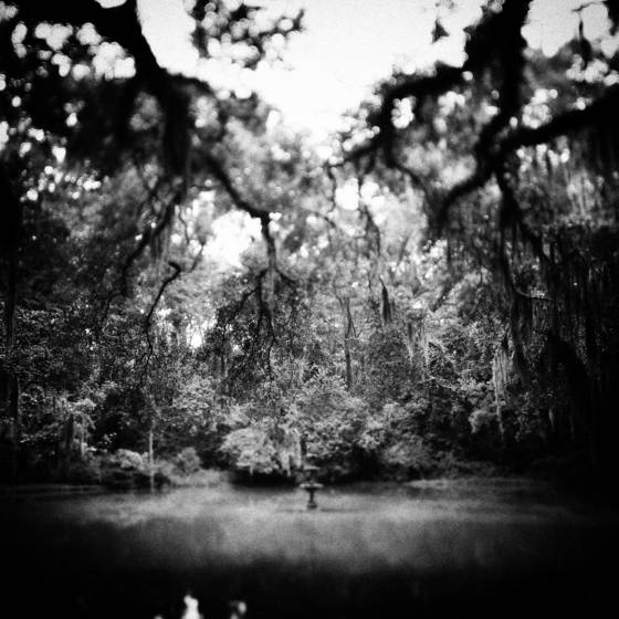 Pond