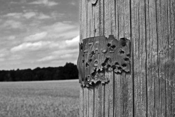 Untitled_2