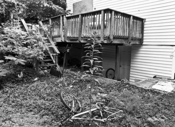 Untitled_1