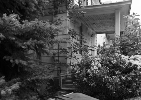 Untitled_4