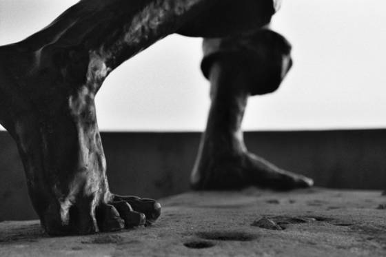 Feet