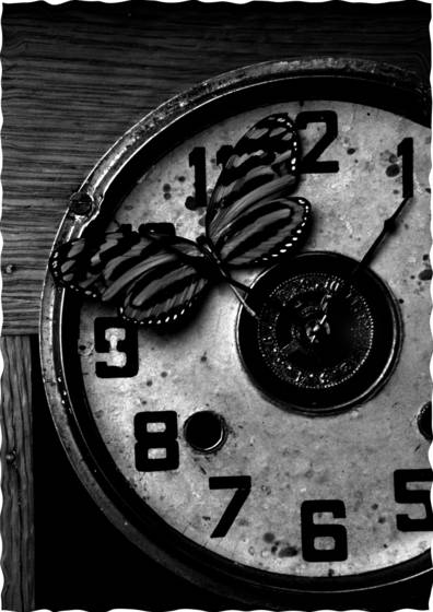 No_time_to_lose