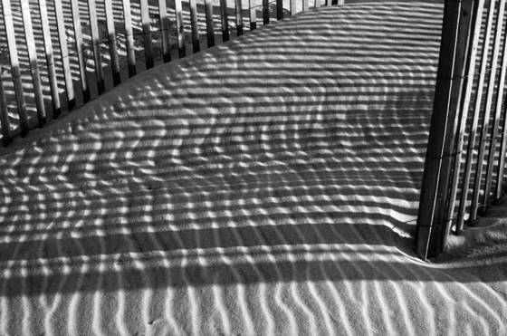 Dune_shadows_i