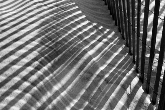Dune_shadows_ii