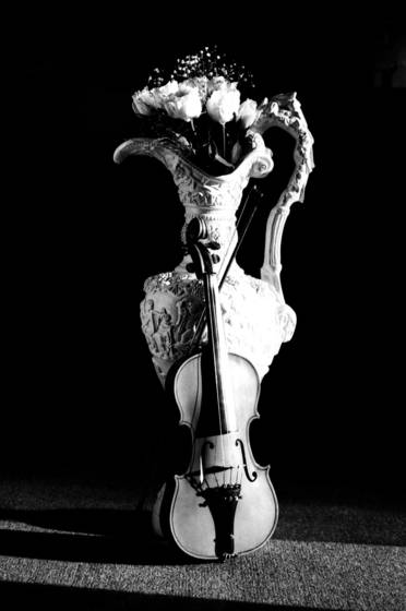 The_violin