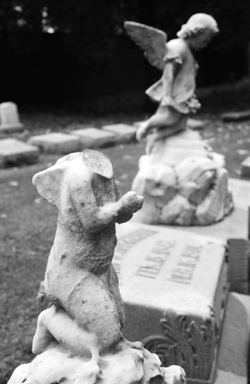 Fallen_angel