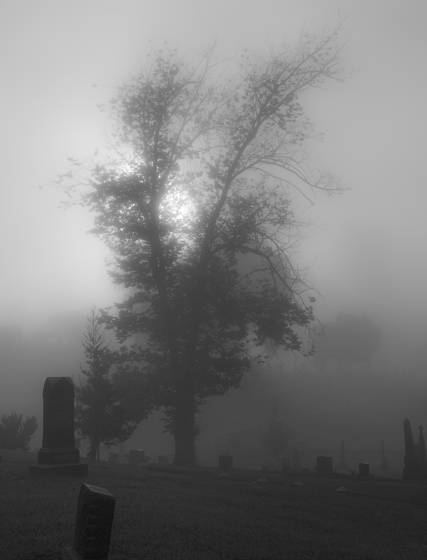 Mountain_view_cemetery__3