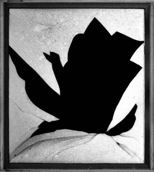 Window__2