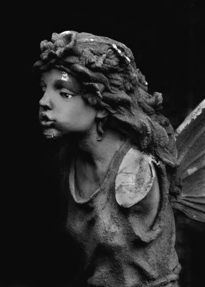 Sometimes_angels_fall