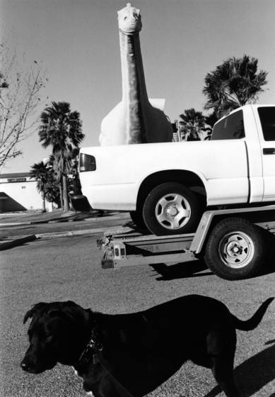 Olive_and_the_dinosaur