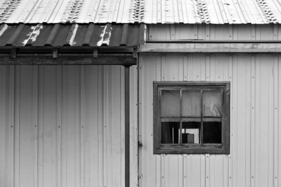 Window