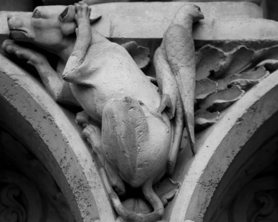 Notre_dame