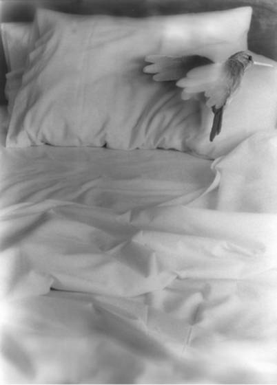 If_i_wake