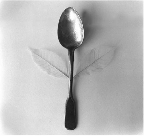 Spoon_of_remembrance