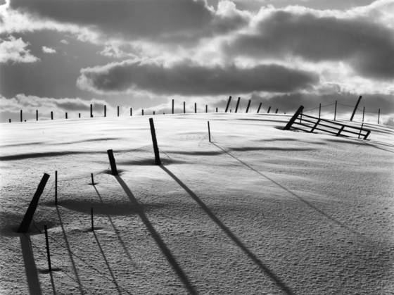 Fenceposts