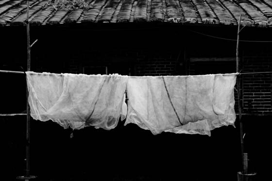 Untitled_4