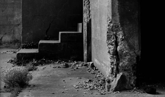 Shades_of_ruin